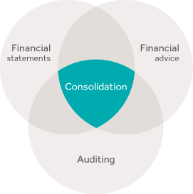 At the heart of accounting and financial expertise